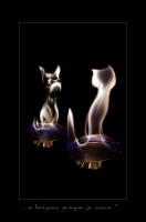 /album/photogallery/ogon-08-jpg/